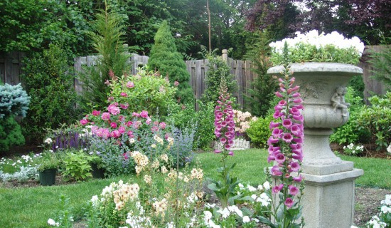A garden with many different flowers and trees.